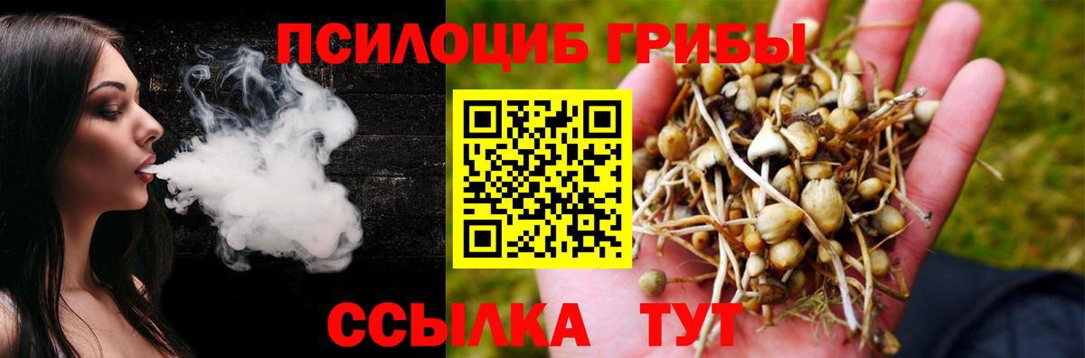 Галлюциногенные грибы MAGIC MUSHROOMS Благовещенск